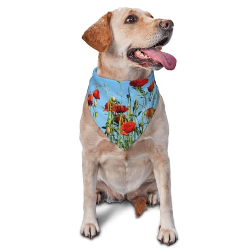 Mohnblumen auf blauem Himmel, Hunde-Bandanas, Katzen- und Welpenschals, waschbar, Haustier-Taschentuch von YOFIEN