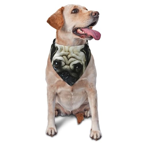 Mops Traurige Hunde Hunde Trauriger Mops Haustiere MopsHund Bandanas Katze Welpen Schals Waschbares Haustier Taschentuch von YOFIEN