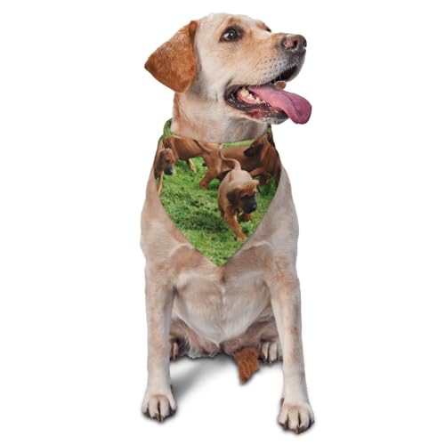Rhodesian Ridgebacks Hunde Welpen Haustiere FamilieHund Bandanas Katze Welpen Schals Waschbar Haustier Taschentuch von YOFIEN