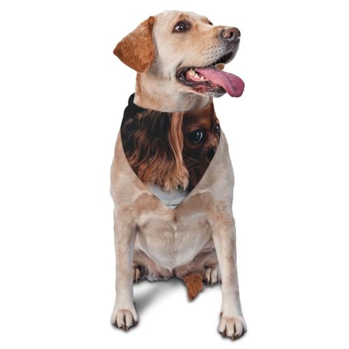 Ruby Cavalier King Charles Spaniel Welpe HundHund Bandanas Katze Welpen Schals Waschbar Haustier Taschentuch von YOFIEN