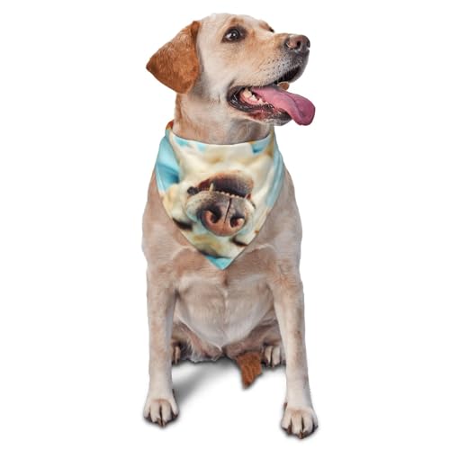 Schlafender LabradorDog Bandanas Katze Welpen Schals Waschbar Haustier Taschentuch von YOFIEN