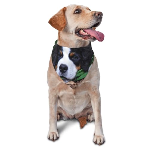 Schöne Berner SennenhundHund Bandanas Katze Welpen Schals Waschbar Pet Taschentuch von YOFIEN