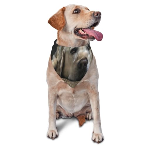 Schöne Labrador Dogdog Bandanas Katze Welpen Schals Waschbar Pet Taschentuch von YOFIEN