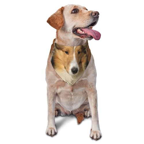 Schöne Sheltie Rasse Dogdog Bandanas Katze Welpen Schals Waschbar Pet Taschentuch von YOFIEN