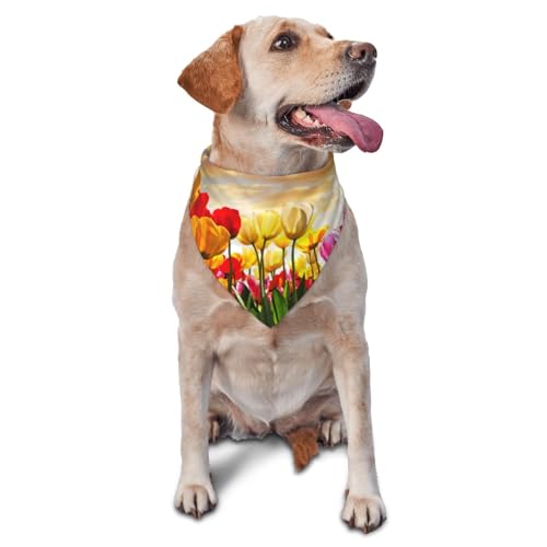Tulpe Blume SunsetDog Bandanas Katze Welpen Schals Waschbar Pet Taschentuch von YOFIEN