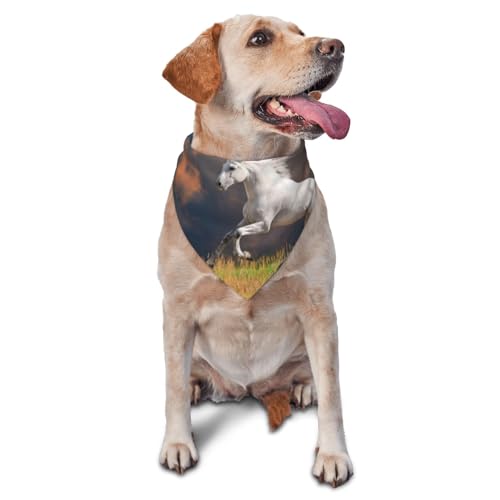 Weiße Pferde MusterHund Bandanas Katze Welpen Schals Waschbar Haustier Taschentuch von YOFIEN