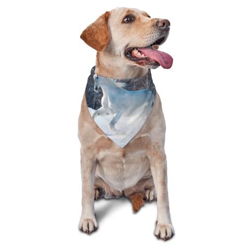 Weißes Pferd im WinterHunde-Bandanas Katzen-Welpen-Schals Waschbares Haustier-Taschentuch von YOFIEN