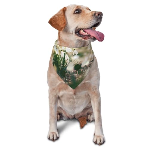 Wild Spring SnowdropDog Bandanas Katze Welpen Schals Waschbar Haustier Taschentuch von YOFIEN