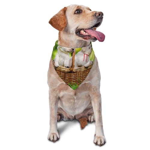 Zwei Hunde in einem Korb Bedruckte Hunde-Bandanas, Katzen- und Welpenschals, waschbares Haustier-Taschentuch von YOFIEN