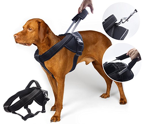 yogadog – Heavy Duty Hundegeschirr, gegen Ziehen, weich gepolstert mit spezieller Verlängerte integrierte kurze Leine Design, reflektierende Nähte, L:26''-34'', schwarz von YOGADOG