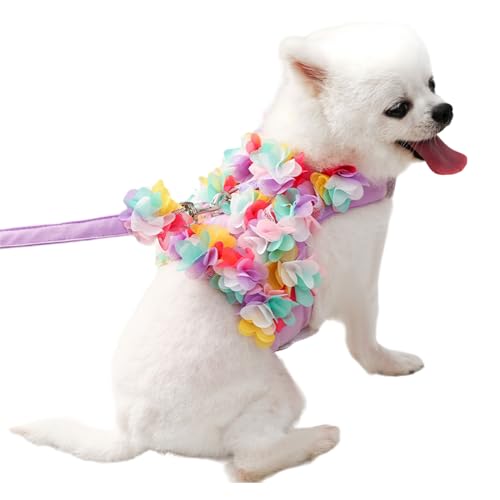 YOGOTEU Haustier-Kleid, Spitzenkleid mit Leine, kleines Haustiergeschirr, Bichon-Kleid, Pullover, Outfit, Hunde-Fotokleidung, Größe M, Blumen lila von YOGOTEU