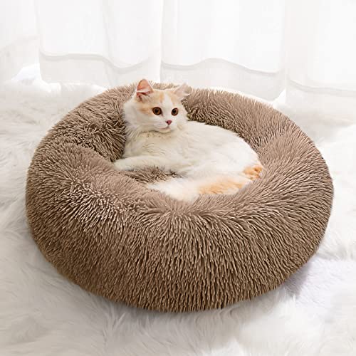 YOJOGEE Kleines Katzenbett für Wohnungskatzen, selbstwärmendes Donut-Kittybett für kleine Katzen, hält warm, waschbares Haustierbett mit rutschfester Unterseite, hellkaffeefarben, 40 cm YOJOGEE Kleines Katzenbett für Wohnungskatzen, selbstwärmendes Donut-Kittybett für kleine Katzen, hält warm, waschbares Haustierbett mit rutschfester Unterseite, hellkaffeefarben, 40 cm von YOJOGEE