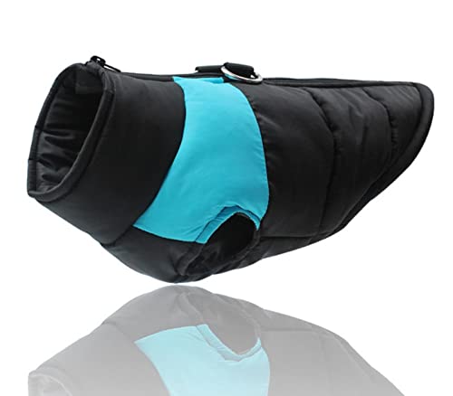 Gepolsterte Winter-Hundekleidung, wasserdicht, mit Reißverschluss, Jacke für kleine, mittelgroße und große Hunde, Mops, Chihuahua, Französische Bulldogge, Blau, Größe L Gepolsterte Winter-Hundekleidung, wasserdicht, mit Reißverschluss, Jacke für kleine, mittelgroße und große Hunde, Mops, Chihuahua, Französische Bulldogge, Blau, Größe L von YOND