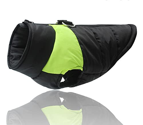Gepolsterte Winter-Hundekleidung, wasserdicht, mit Reißverschluss, Jacke für kleine, mittelgroße und große Hunde, Mops, Chihuahua, Französische Bulldogge, Hellgrün, Größe XXL Gepolsterte Winter-Hundekleidung, wasserdicht, mit Reißverschluss, Jacke für kleine, mittelgroße und große Hunde, Mops, Chihuahua, Französische Bulldogge, Hellgrün, Größe XXL von YOND