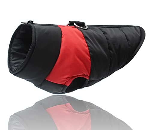 Gepolsterte Winter-Hundekleidung, wasserdicht, mit Reißverschluss, Jacke für kleine, mittelgroße und große Hunde, Mops, Chihuahua, Französische Bulldogge, Rot, Größe XL Gepolsterte Winter-Hundekleidung, wasserdicht, mit Reißverschluss, Jacke für kleine, mittelgroße und große Hunde, Mops, Chihuahua, Französische Bulldogge, Rot, Größe XL von YOND