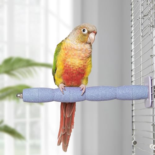 YOOSO WING Vogel-Sitzstange für Papageien, natürlicher Keramik-Schleifstab zum Schneiden von Schnabel und Krallen, Käfigzubehör für Wellensittiche, Sittiche, Nymphensittiche, Kauspielzeug mit YOOSO WING Vogel-Sitzstange für Papageien, natürlicher Keramik-Schleifstab zum Schneiden von Schnabel und Krallen, Käfigzubehör für Wellensittiche, Sittiche, Nymphensittiche, Kauspielzeug mit von YOOSO WING