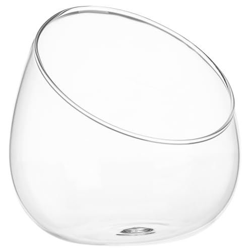 YOSADIER 1 Stück Ökologische Glasflasche für Sukkulenten Transparentes Mikrolandschafts für und Langlebig und Bruchsicher für Kreative und Außendekoration YOSADIER 1 Stück Ökologische Glasflasche für Sukkulenten Transparentes Mikrolandschafts für und Langlebig und Bruchsicher für Kreative und Außendekoration von YOSADIER
