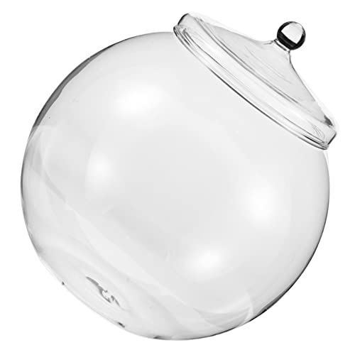 YOSADIER Glasflasche DIY Terrarium mit Deckel Ökologische Mikrolandschaft für Pflanzen für Tischdekoration und Kreative Raumgestaltung YOSADIER Glasflasche DIY Terrarium mit Deckel Ökologische Mikrolandschaft für Pflanzen für Tischdekoration und Kreative Raumgestaltung von YOSADIER