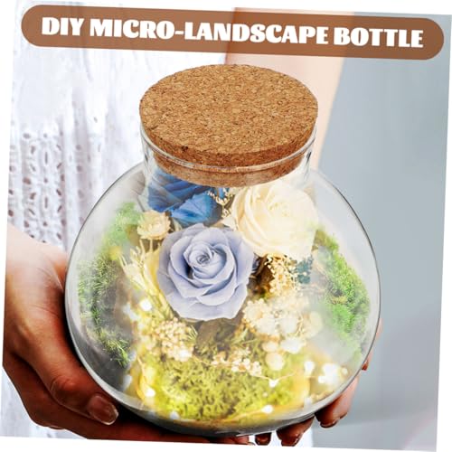 YOSADIER Ökologische Glasflasche Terrarium Pflanzglas mit Rundem Design Transparentes Landschaftsflaschen Terrarienbehälter für Moospflanzen und Flaschengarten Dekoration von YOSADIER