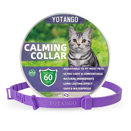 Beruhigendes Halsband für Katzen, Beruhigendes Halsband mit Pheromonen Einstellbares, Wasserdichtes Beruhigungshalsband für Katzen mit 60 Tagen Wirkung für Kätzchen Mittelgroße Große Katzen in Lila von YOTANGO