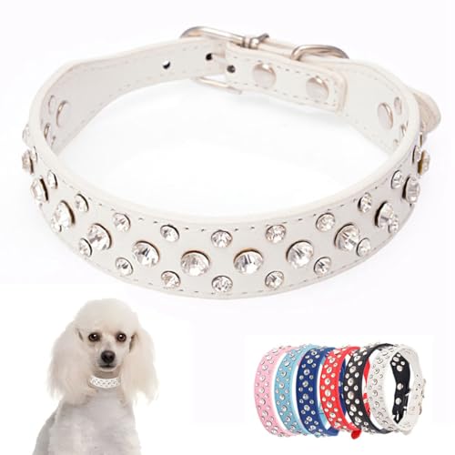 Diamant-Hundehalsband, Kunstleder, glitzernd, hübsches Schmuckstück, weibliches Strass-Kätzchen-Halsband für XXS, XS, S, M, Haustier, Mädchen, Hunde, Katzen, Breite 2,5 cm, Größe XXS Diamant-Hundehalsband, Kunstleder, glitzernd, hübsches Schmuckstück, weibliches Strass-Kätzchen-Halsband für XXS, XS, S, M, Haustier, Mädchen, Hunde, Katzen, Breite 2,5 cm, Größe XXS von YOUALSO