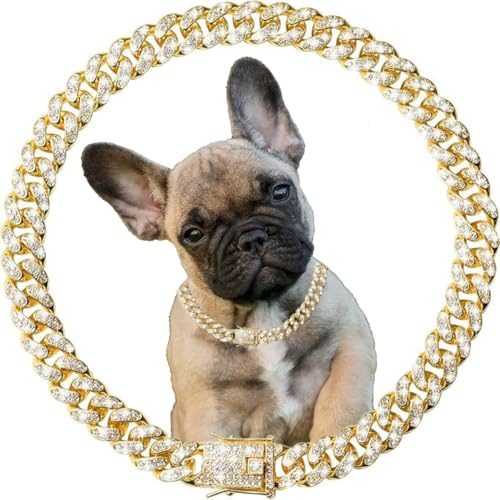 Goldene Hunde-Halskette, glitzernde Strasssteine, glitzernde Diamanten, Metall, kubanische Glieder-Welpenkette für kleine, mittelgroße und große Haustiere, 30,5 cm Goldene Hunde-Halskette, glitzernde Strasssteine, glitzernde Diamanten, Metall, kubanische Glieder-Welpenkette für kleine, mittelgroße und große Haustiere, 30,5 cm von YOUALSO