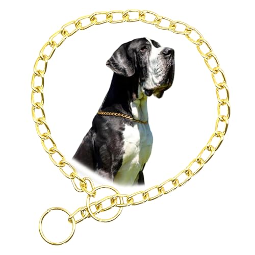 Goldfarbenes Kettenhalsband für Hunde, Metall, robust, Training, Welpenhalsbänder für XXS, XS, S, M, L, XL, Rassen, XS Goldfarbenes Kettenhalsband für Hunde, Metall, robust, Training, Welpenhalsbänder für XXS, XS, S, M, L, XL, Rassen, XS von YOUALSO