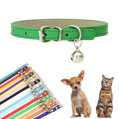 Grünes Hundehalsband für kleine Hunde mit Glöckchen, Kunstleder, mit Glöckchen, für Jungen, für XXS, XS, S, M, für männliche Hunde, kleine Katzen, kleine Tiere, Größe S Grünes Hundehalsband für kleine Hunde mit Glöckchen, Kunstleder, mit Glöckchen, für Jungen, für XXS, XS, S, M, für männliche Hunde, kleine Katzen, kleine Tiere, Größe S von YOUALSO