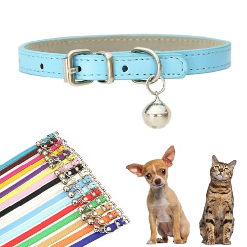 Hellblaues Hundehalsband für kleine Hunde mit Glöckchen, Kunstleder, mit Glöckchen, für Jungen, für XXS, XS, S, M, für männliche Hunde, kleine Katzen, kleine Tiere, Größe S Hellblaues Hundehalsband für kleine Hunde mit Glöckchen, Kunstleder, mit Glöckchen, für Jungen, für XXS, XS, S, M, für männliche Hunde, kleine Katzen, kleine Tiere, Größe S von YOUALSO