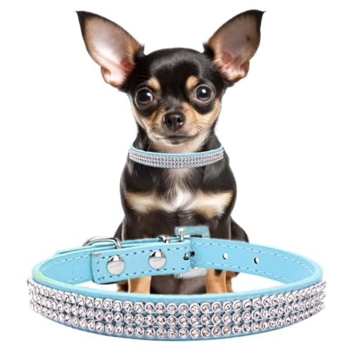 Hellblaues glitzerndes Hundehalsband für mittelgroße Hunde, ausgefallene glitzernde Diamanten, Strasssteine, für Mädchen, Welpen, Halsbänder für XXS, XS, kleine und mittelgroße Rassen, Größe M Hellblaues glitzerndes Hundehalsband für mittelgroße Hunde, ausgefallene glitzernde Diamanten, Strasssteine, für Mädchen, Welpen, Halsbänder für XXS, XS, kleine und mittelgroße Rassen, Größe M von YOUALSO