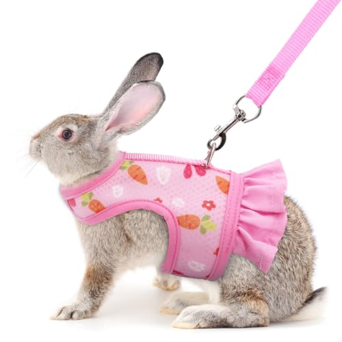 Hundegeschirr und Leine, ausbruchsicheres Kaninchengeschirr und Leine, Set mit niedlichen Hasen, Weste, Kleidung, Zubehör, auch für Frettchen, Kätzchen, Welpen, Kleintiere, Größe M (Jungkaninchen) von YOUALSO