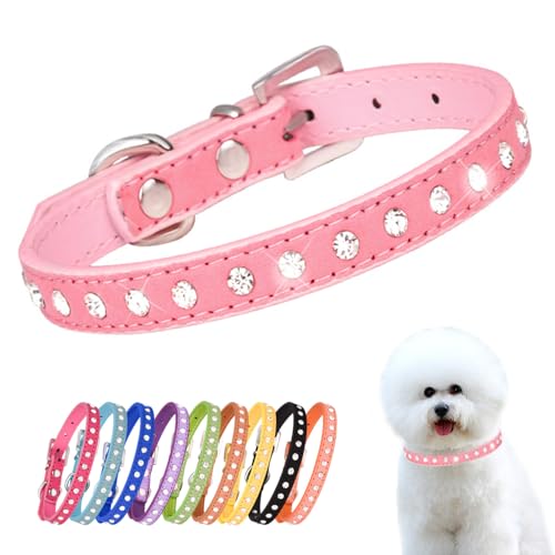 Kleine Hunde Hundehalsband Leuchtend, Halsband Hund Klein Mit Kristalldiamanten Glitzernd Kristall Halsung Hund Diamant Bling Welpenhalsband Welpe HundehalsbäNder,Rosa S Kleine Hunde Hundehalsband Leuchtend, Halsband Hund Klein Mit Kristalldiamanten Glitzernd Kristall Halsung Hund Diamant Bling Welpenhalsband Welpe HundehalsbäNder,Rosa S von YOUALSO