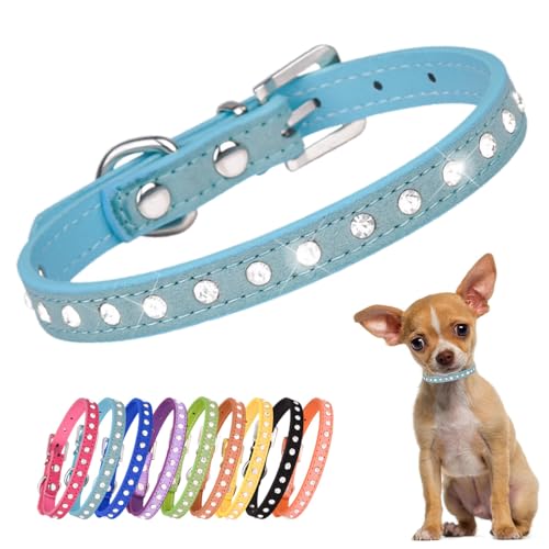 Kleine Hunde Hundehalsband Leuchtend, Halsband Hund Klein Mit Kristalldiamanten Glitzernd Kristall Halsung Hund Diamant Bling Welpenhalsband Welpe HundehalsbäNder,Blau XS Kleine Hunde Hundehalsband Leuchtend, Halsband Hund Klein Mit Kristalldiamanten Glitzernd Kristall Halsung Hund Diamant Bling Welpenhalsband Welpe HundehalsbäNder,Blau XS von YOUALSO