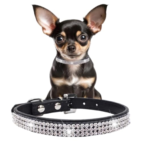 Hundehalsband für kleine Hunde, ausgefallenes Katzenhalsband mit Strasssteinen, glitzernde Kristalle, für Mädchen, Welpen, Halsbänder für XXS, XS, kleine, mittelgroße Rassen, Hündinnen, Kätzchen, Hundehalsband für kleine Hunde, ausgefallenes Katzenhalsband mit Strasssteinen, glitzernde Kristalle, für Mädchen, Welpen, Halsbänder für XXS, XS, kleine, mittelgroße Rassen, Hündinnen, Kätzchen, von YOUALSO