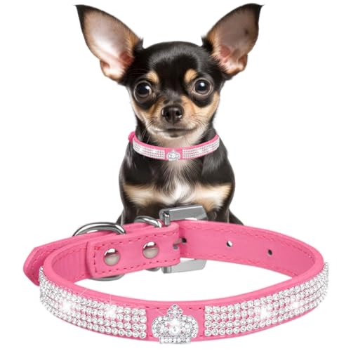 Hundehalsband für kleine Hunde, glitzernde Strasssteine, Katzenhalsband, Glitzer, Kristall, für Mädchen, Welpen, Halsbänder für XXS, XS, kleine und mittelgroße Rassen, Hündinnen, Kätzchen, Größe S Hundehalsband für kleine Hunde, glitzernde Strasssteine, Katzenhalsband, Glitzer, Kristall, für Mädchen, Welpen, Halsbänder für XXS, XS, kleine und mittelgroße Rassen, Hündinnen, Kätzchen, Größe S von YOUALSO