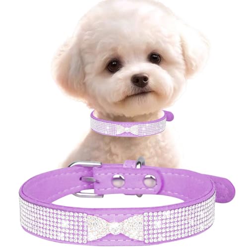 Hundehalsband mit Glitzer, Kristall-Namensschild, hübsche Schleife, Strasssteine, Katzenhalsband, glitzernd, glitzernd, Diamanten, für Mädchen, Welpen, Halsband für XXS, XS, S, M, Haustier, Hündinnen, Hundehalsband mit Glitzer, Kristall-Namensschild, hübsche Schleife, Strasssteine, Katzenhalsband, glitzernd, glitzernd, Diamanten, für Mädchen, Welpen, Halsband für XXS, XS, S, M, Haustier, Hündinnen, von YOUALSO