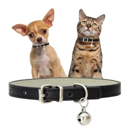 Hundehalsband mit Glöckchen, Kunstleder, Katzenhalsband mit Glöckchen, Pu Basic für Jungen, für XXS, XS, S, M, für männliche Hunde, kleines Kätzchen, kleines Tier, Größe XS Hundehalsband mit Glöckchen, Kunstleder, Katzenhalsband mit Glöckchen, Pu Basic für Jungen, für XXS, XS, S, M, für männliche Hunde, kleines Kätzchen, kleines Tier, Größe XS von YOUALSO