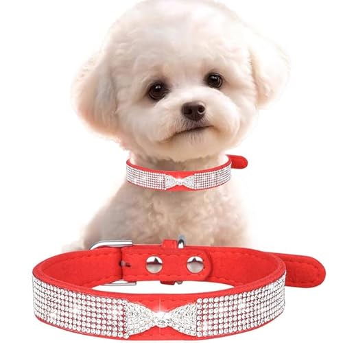 Hundehalsband mit glitzerndem Kristall-Namensschild, hübsche Diamantschleife, Kristall-Strass, Kätzchen-Halsband, Glitzer, mit Schmucksteinen, für Mädchen, Welpen, Halsband für XXS, XS, S, M, für Hundehalsband mit glitzerndem Kristall-Namensschild, hübsche Diamantschleife, Kristall-Strass, Kätzchen-Halsband, Glitzer, mit Schmucksteinen, für Mädchen, Welpen, Halsband für XXS, XS, S, M, für von YOUALSO