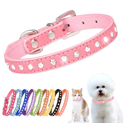 Kleine Hunde Hundehalsband Leuchtend, Halsband Hund Klein Mit Kristalldiamanten Glitzernd Kristall Halsung Hund Diamant Bling Welpenhalsband Welpe HundehalsbäNder,Rosa XXS Kleine Hunde Hundehalsband Leuchtend, Halsband Hund Klein Mit Kristalldiamanten Glitzernd Kristall Halsung Hund Diamant Bling Welpenhalsband Welpe HundehalsbäNder,Rosa XXS von YOUALSO