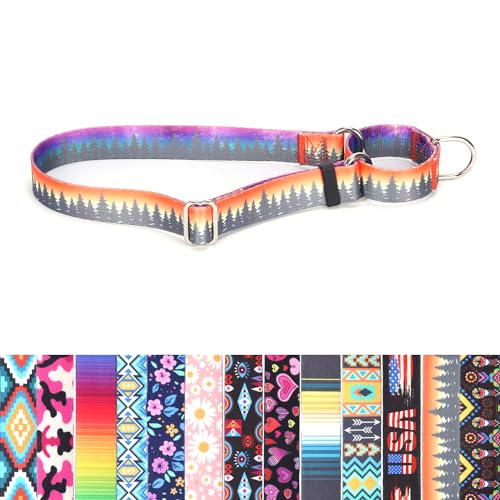 Choke-Halsband für Hunde, rutschfest, ausbruchsicher, kein Ziehen, weiches Nylon, für Hundetraining, Martingal-Halsbänder, verstellbar für kleine, mittelgroße und große Rassen, Orange Forest S Choke-Halsband für Hunde, rutschfest, ausbruchsicher, kein Ziehen, weiches Nylon, für Hundetraining, Martingal-Halsbänder, verstellbar für kleine, mittelgroße und große Rassen, Orange Forest S von YOUALSO
