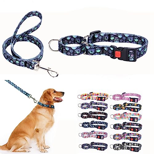 Martingale Halsband und Leine für Hunde, groß, mittel, kleine Rassen, rutschfest, kein Entkommen, begrenztes Würgen, Quetsch-Halsband und Leine, Schnellverschluss-Schnalle mit Schloss (Totenkopf, L) Martingale Halsband und Leine für Hunde, groß, mittel, kleine Rassen, rutschfest, kein Entkommen, begrenztes Würgen, Quetsch-Halsband und Leine, Schnellverschluss-Schnalle mit Schloss (Totenkopf, L) von YOUALSO