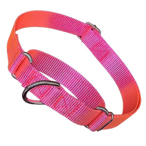 Martingale Hundehalsband, kein Ziehen, Würgen, ausbruchsicher, verstellbar, für kleine, mittelgroße und große Rassen, Hot Pink, Größe M Martingale Hundehalsband, kein Ziehen, Würgen, ausbruchsicher, verstellbar, für kleine, mittelgroße und große Rassen, Hot Pink, Größe M von YOUALSO