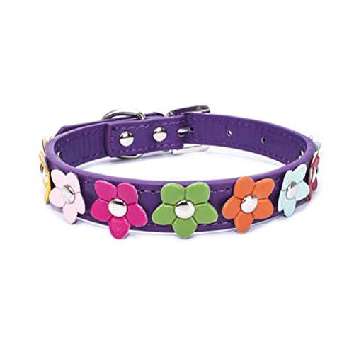 Mini-Hundehalsband, buntes Blumenmuster, für Mädchen und Katzen, Violett, Größe XS Mini-Hundehalsband, buntes Blumenmuster, für Mädchen und Katzen, Violett, Größe XS von YOUALSO