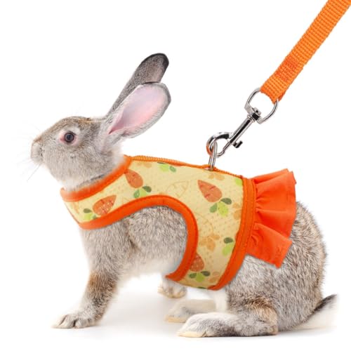 Orange Bunny Leine und Geschirr, ausbruchsicheres Kaninchengeschirr und Leine, Set mit niedlichen Hasen, Weste, Kleidung, Zubehör, auch für Frettchen, Kätzchen, Welpen, Kleintiere, S (Junges Kaninchen von YOUALSO
