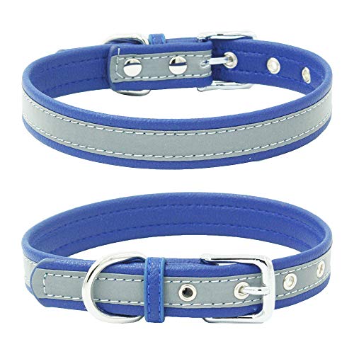 Reflektierendes Halsband für kleine Hunde, sicherer bei Nacht, für Mädchen, Katzen, Blau, Größe XL Reflektierendes Halsband für kleine Hunde, sicherer bei Nacht, für Mädchen, Katzen, Blau, Größe XL von YOUALSO