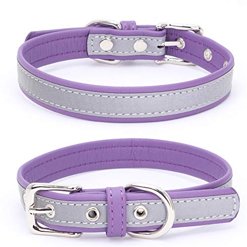Reflektierendes Halsband für kleine Hunde, sicherer bei Nacht, für Mädchen, Katzen, Lila, Größe L Reflektierendes Halsband für kleine Hunde, sicherer bei Nacht, für Mädchen, Katzen, Lila, Größe L von YOUALSO
