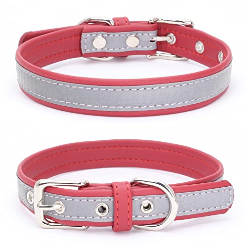 Reflektierendes Halsband für kleine Hunde, sicherer bei Nacht, für Mädchen, Katzen, Rot, Größe XL Reflektierendes Halsband für kleine Hunde, sicherer bei Nacht, für Mädchen, Katzen, Rot, Größe XL von YOUALSO