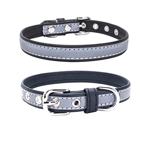 Reflektierendes Halsband für kleine Hunde, sicherer bei Nacht, für Mädchen, Katzen, Schwarz, Größe XL Reflektierendes Halsband für kleine Hunde, sicherer bei Nacht, für Mädchen, Katzen, Schwarz, Größe XL von YOUALSO