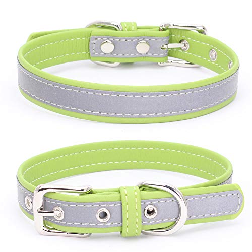 Reflektierendes Hundehalsband für kleine Hunde, sicherer bei Nacht, für Mädchen, Katzen, Grün, Größe XS Reflektierendes Hundehalsband für kleine Hunde, sicherer bei Nacht, für Mädchen, Katzen, Grün, Größe XS von YOUALSO