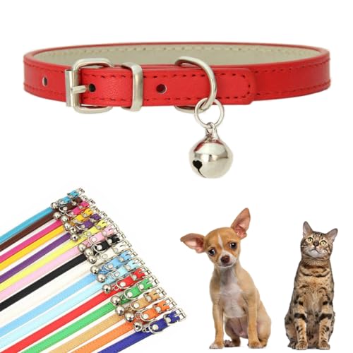 Rotes XXS Hundehalsband mit Glöckchen, Kunstleder, Kätzchenhalsband mit Glöckchen, PU, Basic für Jungen, für XXS, XS, S, M, Haustier, männliche Hunde, kleine Katzen, kleine Tiere, Größe XXS Rotes XXS Hundehalsband mit Glöckchen, Kunstleder, Kätzchenhalsband mit Glöckchen, PU, Basic für Jungen, für XXS, XS, S, M, Haustier, männliche Hunde, kleine Katzen, kleine Tiere, Größe XXS von YOUALSO